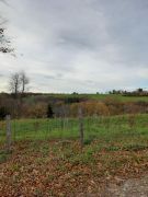 WhatsApp_Image_2025-11-06_at_17.23.38_6