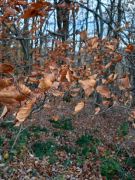 WhatsApp_Image_2025-11-06_at_17.23.39_4