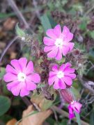 WhatsApp_Image_2025-11-06_at_17.23.39_6