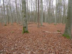 059ece36-3b6b-481d-ab6a-ae7709409548