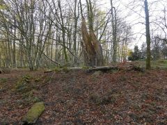 10f4b32b-c117-4615-b2e1-28bc9cd849e8