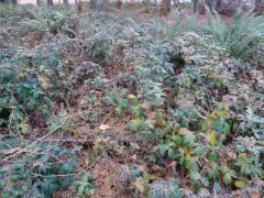 7205f91b-1332-4625-ad46-3e833d7bb9c1