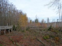 8ef3efdd-a0f3-4009-888d-4abc8671cbba