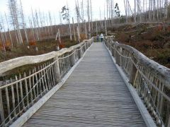 cda9542e-91a1-4e6c-97e8-97b0adc3c96a